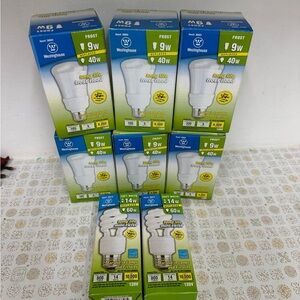 Westinghouse Frosted Light Bulbs Set